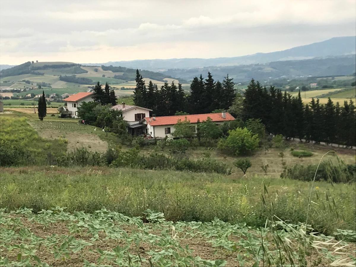 B&B Prato San Lorenzo Nocciano Exteriér fotografie