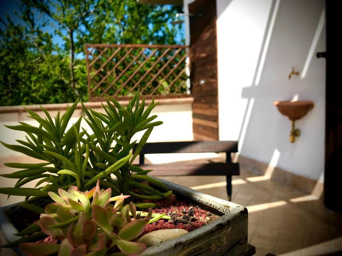 B&B Prato San Lorenzo Nocciano Exteriér fotografie